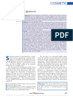 The Pyriform Ligament