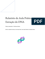 Relatório de Aula Prática - Extração Do DNA