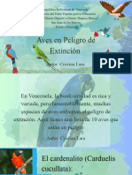 Aves en Peligro de Extinción (Cristian Lara) - 20240615 - 084901 - 0000