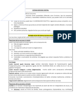 Resumen Sistema Nervioso Central