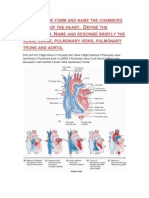 Cardiovascular PBLs