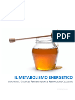 Metabolismo Energetico