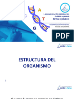 Ud 1.1 - Organización General Del Cuerpo Humano - Nivel Quimico