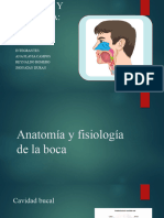 Anatomia y Fisiologia Boca y Farinje