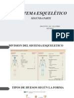 Sistema Esqueletico 2 Parte