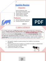 Mastitis Caso Clínico 1