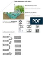 Evaluación de Ciencias Naturales Con Adecuaciones 4to