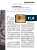 1-Panda 2002 - Circadian Rhythms From Flies To Humans