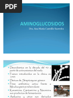 Aminoglucósidos