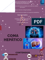 Coma Hepatico