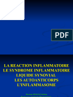 Syndrome Inflammatoire-Thies 2023