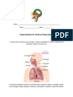 Sistema Respiratório