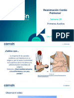 Semana 18 - RCP