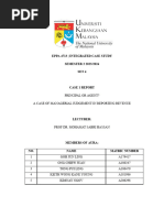 CASE 1 - Principle or Agent EPPA 4713 Group Aura