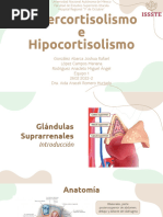 Hipercortisolismo e Hipocortisolismo