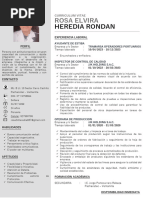 Curriculum Vitae Rosa Elvira Heredia Rondan - 2024