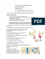 Estructura y Catabolismo de Lípidos