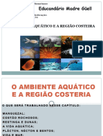 O Ambiente Aquático E A Região Costeira