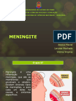 MENINGITE