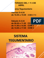 Piel y Anexos Cutáneos (Sistema Tegumentario)