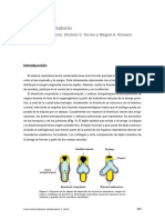 Sistema Respiratorio Capitulo