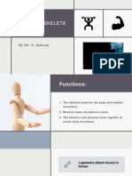 The Musculoskeletal System