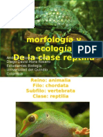 Morfologia y Ecologia de Repties