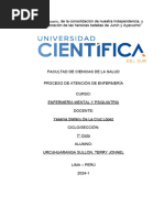 Segundo Avance Pae de Salud Mental