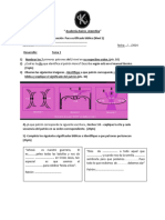 EVALUACIÓN NIVEL 2 Academia Kairos Argentina 2024