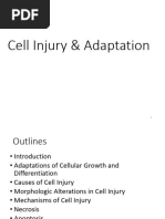 Cell Injury