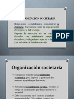 Organizacion Societaria