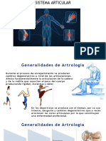 5.sistema Articular