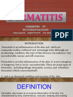 Dermatitis 200821072520