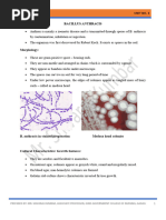 Bacillus Antrasis