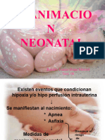 Tema 24 Reanimacion Neonatal