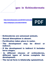 Larval Stages in Echinodermata