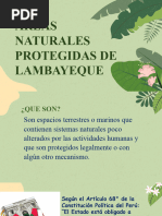 Areas Naturales Protegidas de Lambayeque