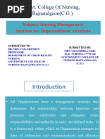 Organizationalstructure Final