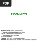 ASCOMYCOTA