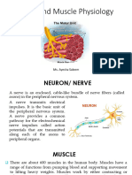 Nerve & Muscle Physiology Lec 2