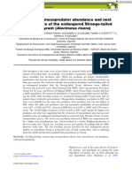 Variation in Mesopredator Abundance and Nest Predation Rate of The Endangered Strange-Tailed Tyrant (Alectrurus Risora)