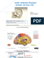 3 Organización Anátomo-Funcional Del Sistema Nervioso 2 OBJ 2