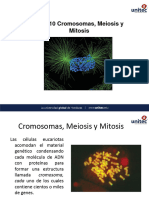 Cap. 10 Cromosomas Meiosis y Mitosis