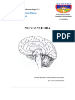 Examen Psicofarmacologia Ok