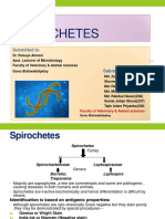 Bacteriology Assignment