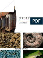 Lecture 03 Texture