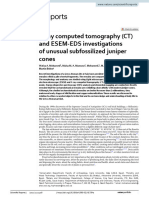 X Ray Computed Tomography (CT) and ESEM EDS Investigations of Unusual Subfossilized Juniper Cones