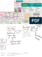 04 - Fisiologia II