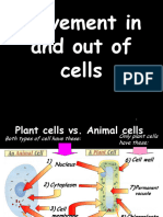 Movement in & Out of Cells