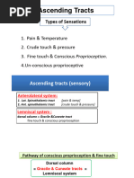 BMS301, L9, Anatomy, Long Ascending Pathways 2